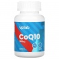  VP Laboratory CoQ-10 100  60 
